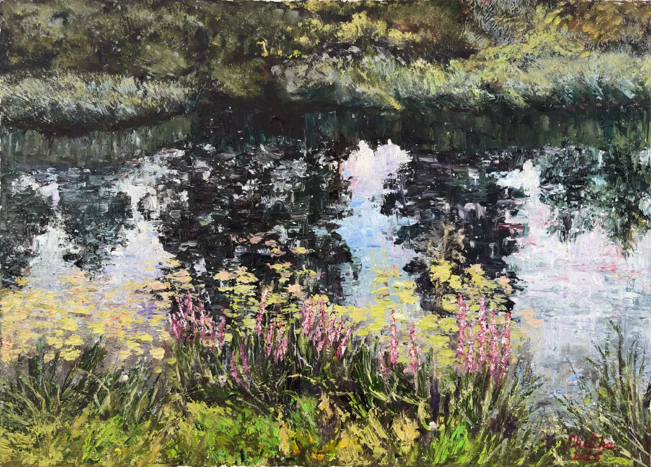 Spiegelungen